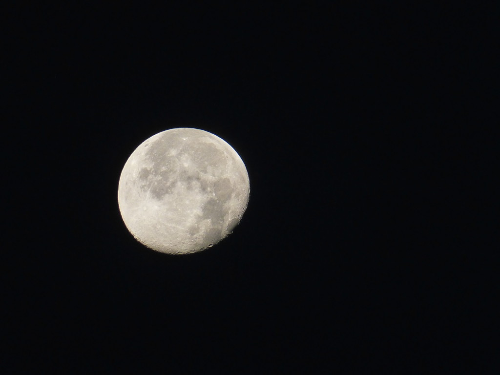moon7.14