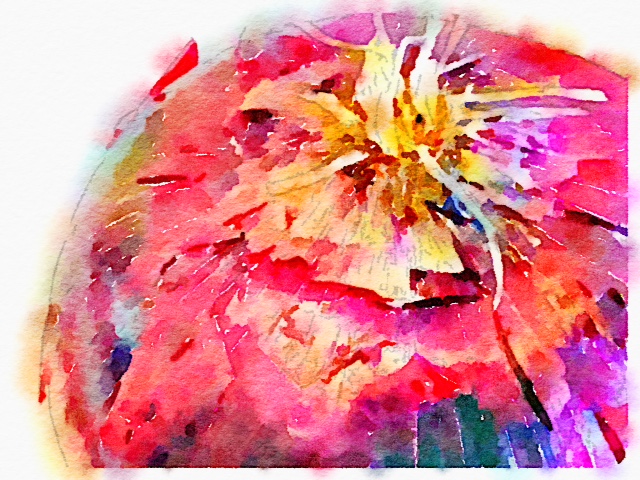 Red Onion Watercolor